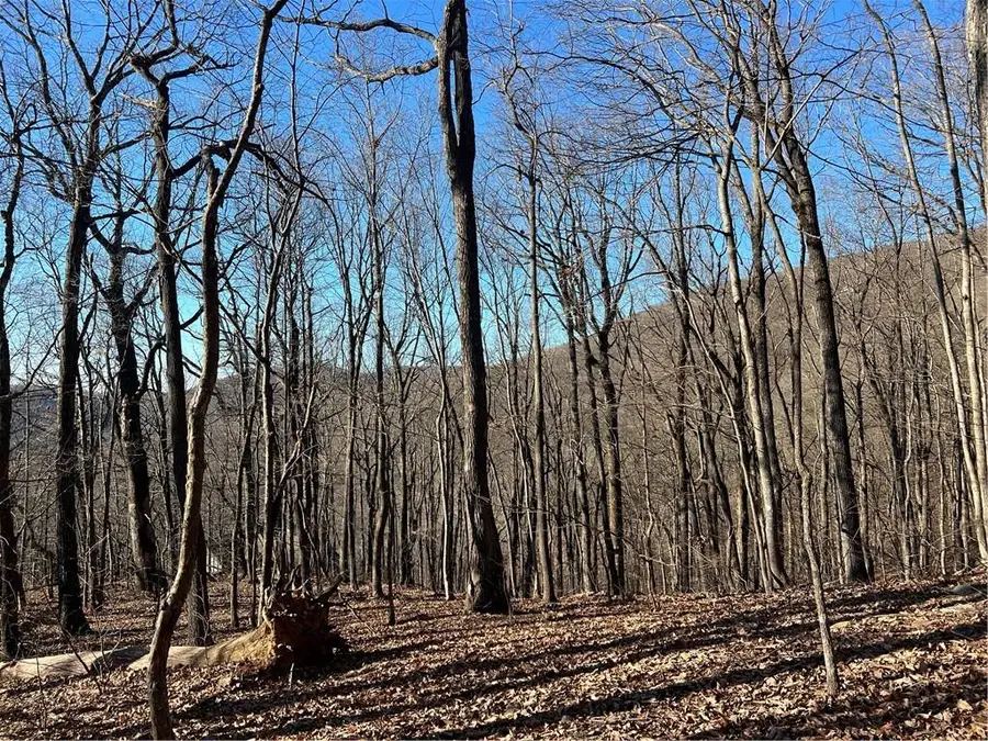 0 Sassafras Court, Jasper, GA 30143 - #3