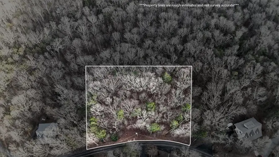 Lot#55 Timberwalk Drive Drive, Ellijay, GA 30540 - Image #3