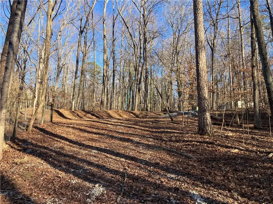 170 Magnolia Street, Roswell, GA 30075 - Image #2