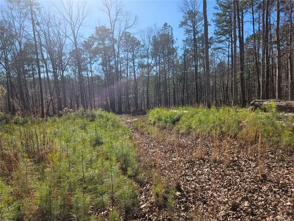 0 Glenn Road Ne, Conyers, GA 30013 - Image #1