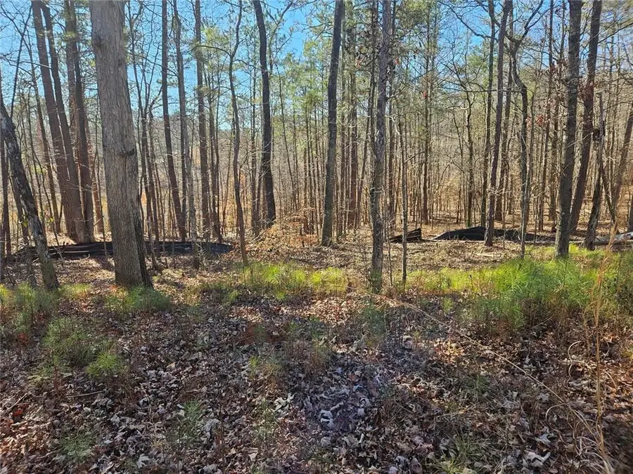 0 Glenn Road Ne, Conyers, GA 30013 - Image #3