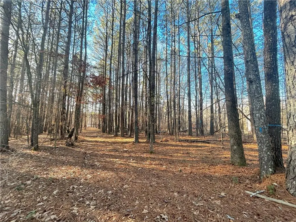 0 Old Stilesboro Road, Acworth, GA 30101 - #1