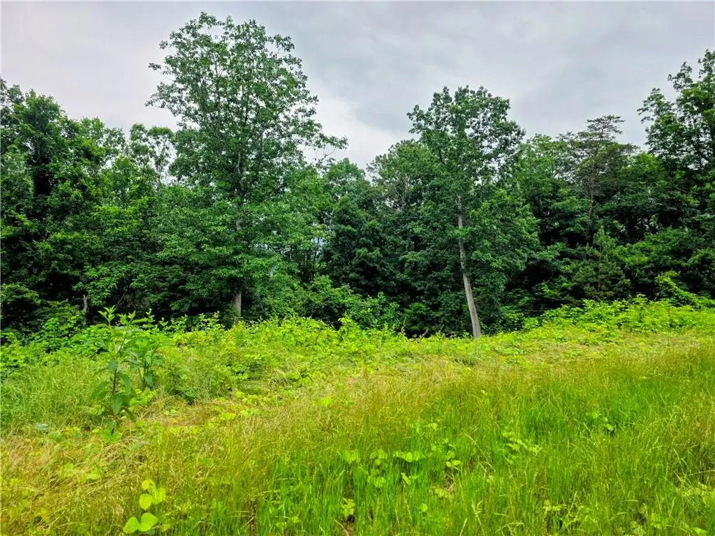 TBD Cowart Mountain Tract 2 Road, Jasper, GA 30143 - #1