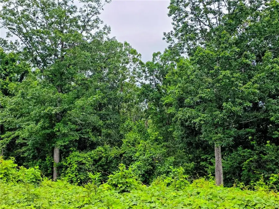 TBD Cowart Mountain Tract 2 Road, Jasper, GA 30143 - #2