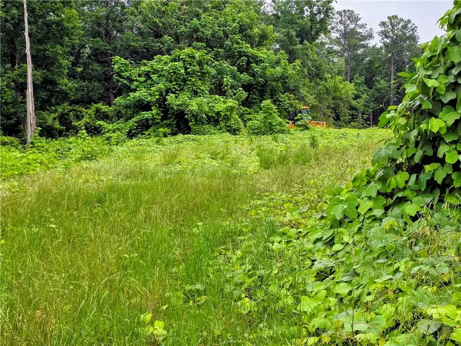 TBD Cowart Mountain Tract 2 Road, Jasper, GA 30143 - #3