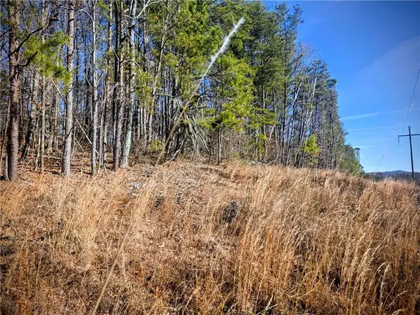 TBD Cowart Mountain Tract 3 Road, Jasper, GA 30143