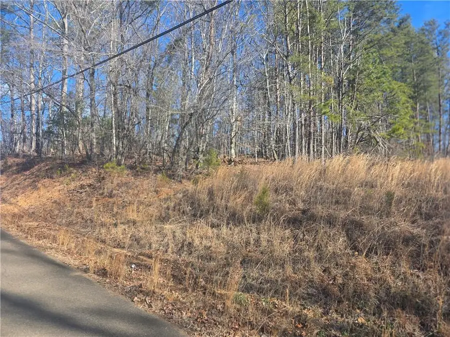 TBD Cowart Mountain Tract 3 Road, Jasper, GA 30143 - #2