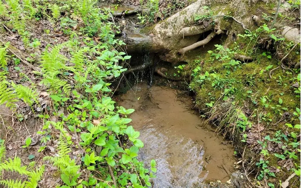 LOT27 Oak Ridge, Ellijay, GA 30536 - #1