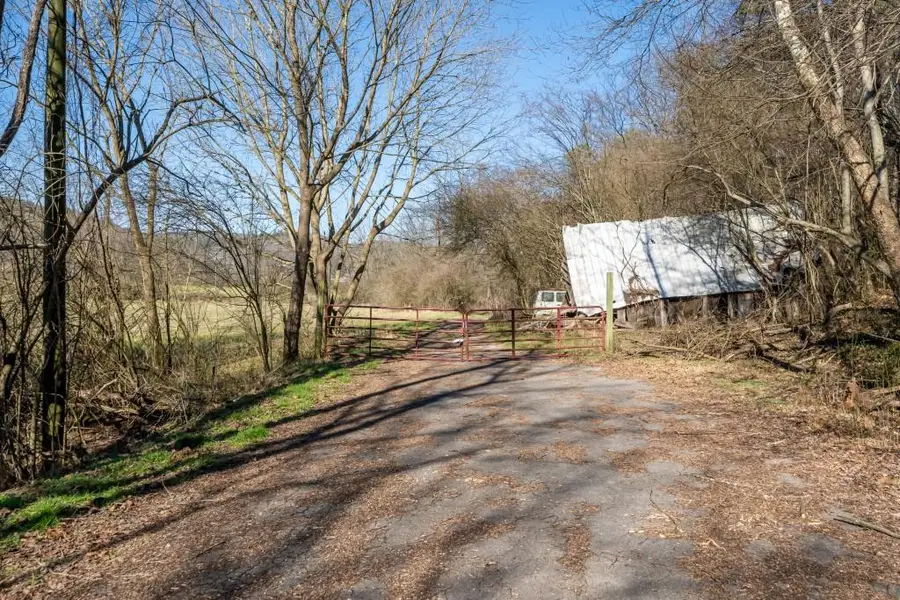 312 Parks Avenue, Ellijay, GA 30540 - #2