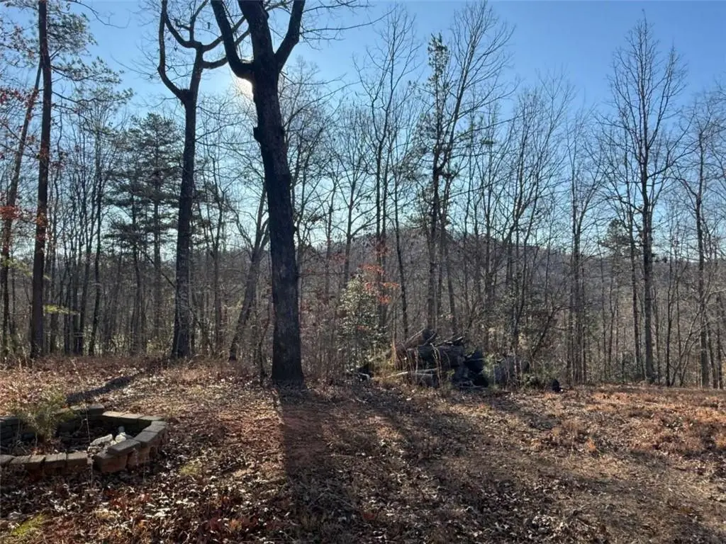 426 Rockhouse Crossing, Demorest, GA 30535 - Image #1