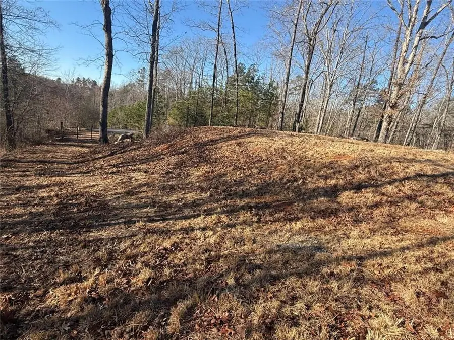 426 Rockhouse Crossing, Demorest, GA 30535 - Image #3