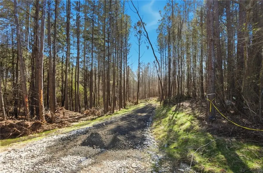 5.419 Acres On Pete Path, Dallas, GA 30157 - #2