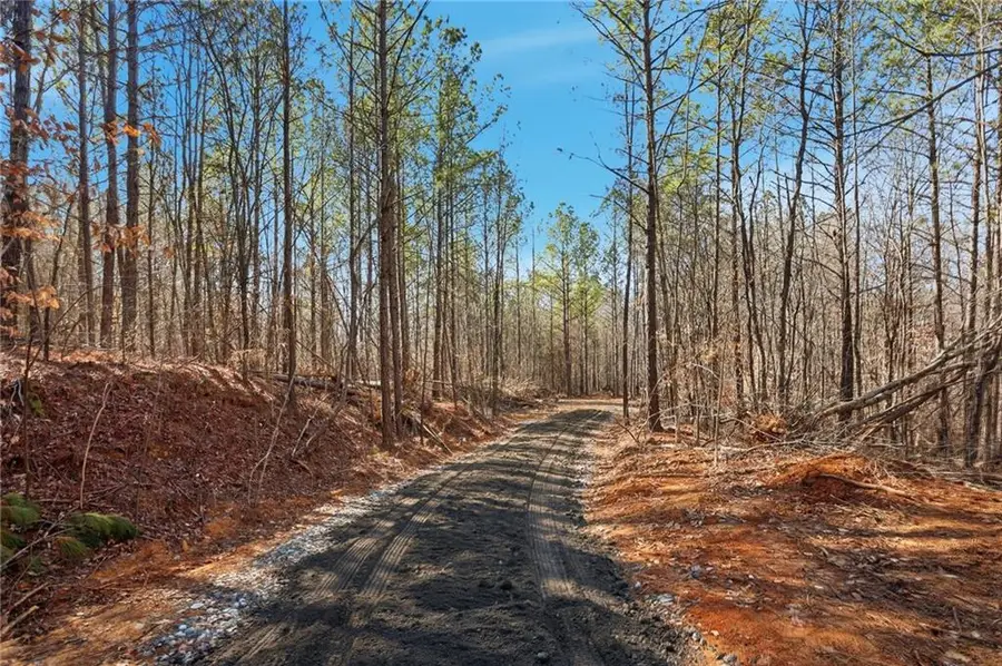 5.419 Acres On Pete Path, Dallas, GA 30157 - #3