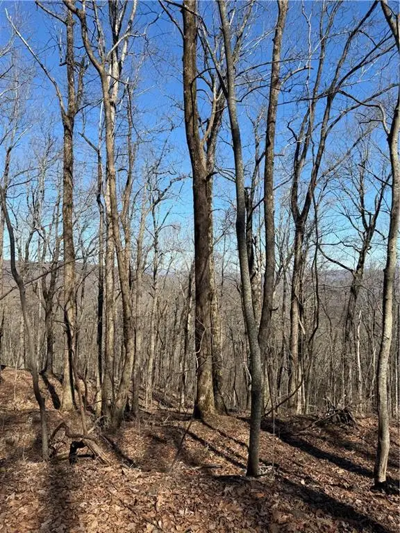 240 N Sanderlin Mtn Drive, Jasper, GA 30143 - #3