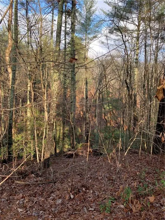 9317 Blackwell Creek Way, Jasper, GA 30143 - Image #1