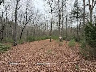 LOT 9 Peter Knob Road, Blue Ridge, GA 30513 - Image #2