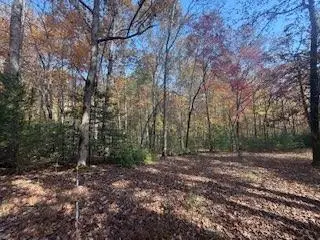 LOT 9 Peter Knob Road, Blue Ridge, GA 30513 - Image #3