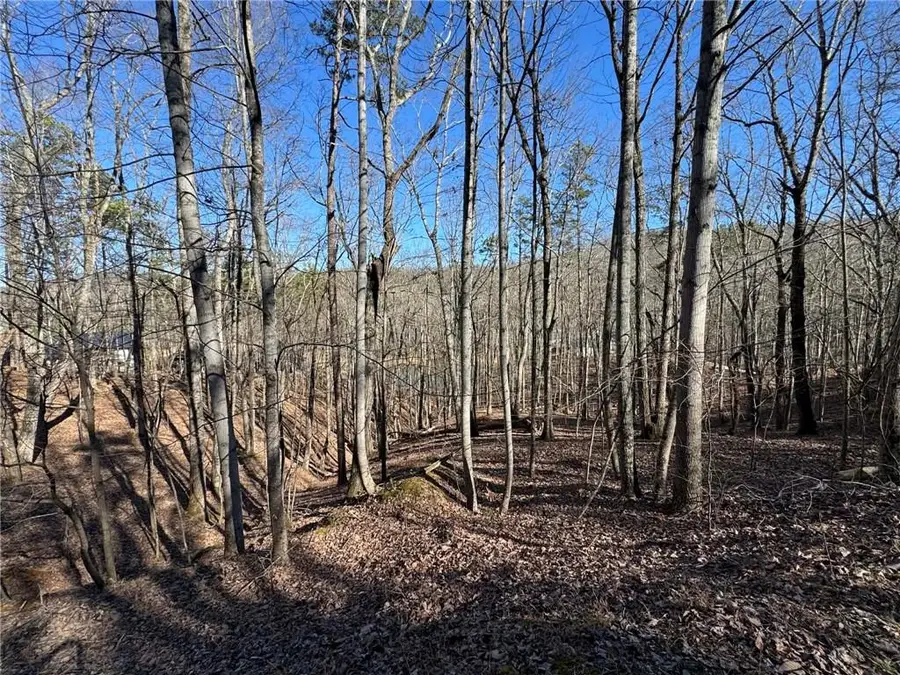 70 Geyser Court, Ranger, GA 30734 - Image #2