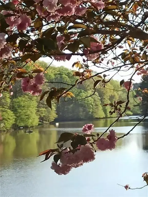 2382 Merrymount Drive, Suwanee, GA 30024