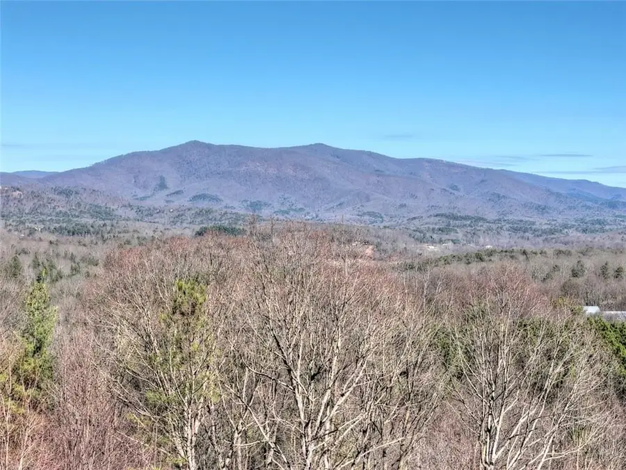 100 Foxpaw Leaf Court, Ellijay, GA 30536 - #2