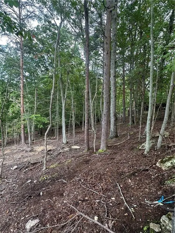 286 Morse Elm Loop, Waleska, GA 30183 - Image #2