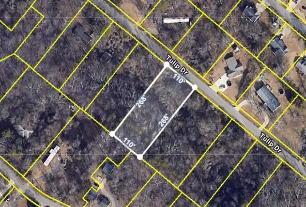 1828 Tulip Drive, Gainesville, GA 30507 - Image #1