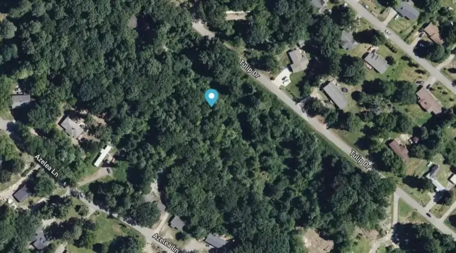 1828 Tulip Drive, Gainesville, GA 30507 - Image #2