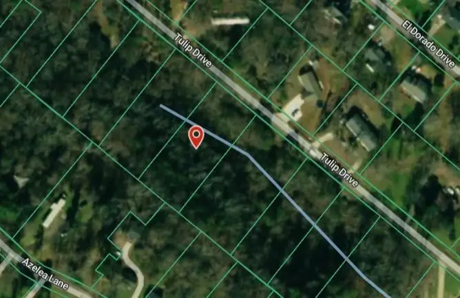 1828 Tulip Drive, Gainesville, GA 30507 - Image #3