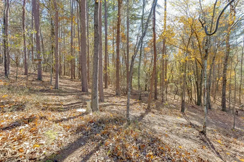 6360 Nix Road, Dawsonville, GA 30534 - Image #1