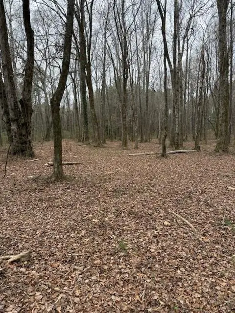 00 Center Road, Cartersville, GA 30121 - Image #3