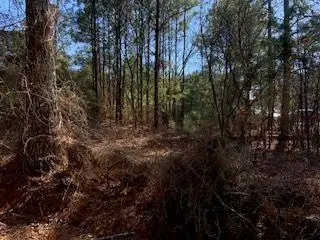 0 Cook Road Southwest, Stockbridge, GA 30281 - #3