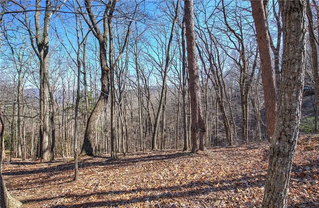 0 Walnut Mountain Road, Ellijay, GA 30536 - #1