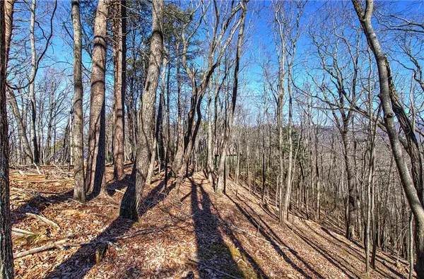 0 Walnut Mountain Road, Ellijay, GA 30536