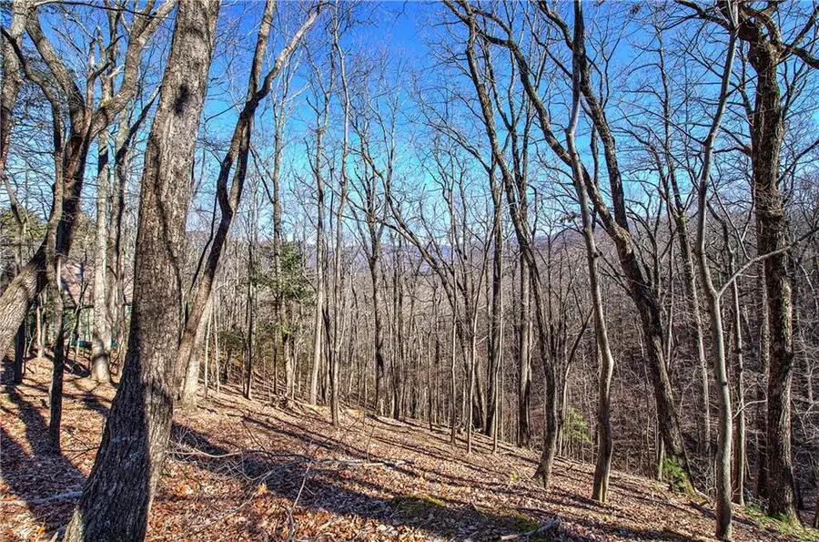 0 Walnut Mountain Road, Ellijay, GA 30536 - #3