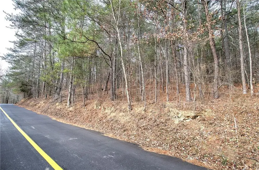 00 Manning Mill Road, Summerville, GA 30747 - Image #2