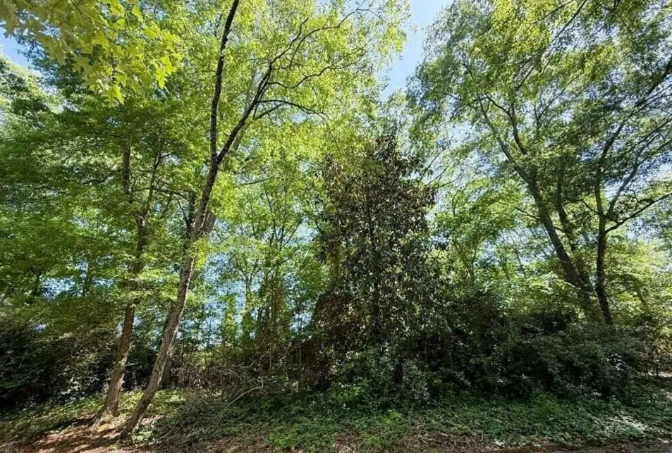 0 Oak Dr Drive, Elberton, GA 30635 - #1