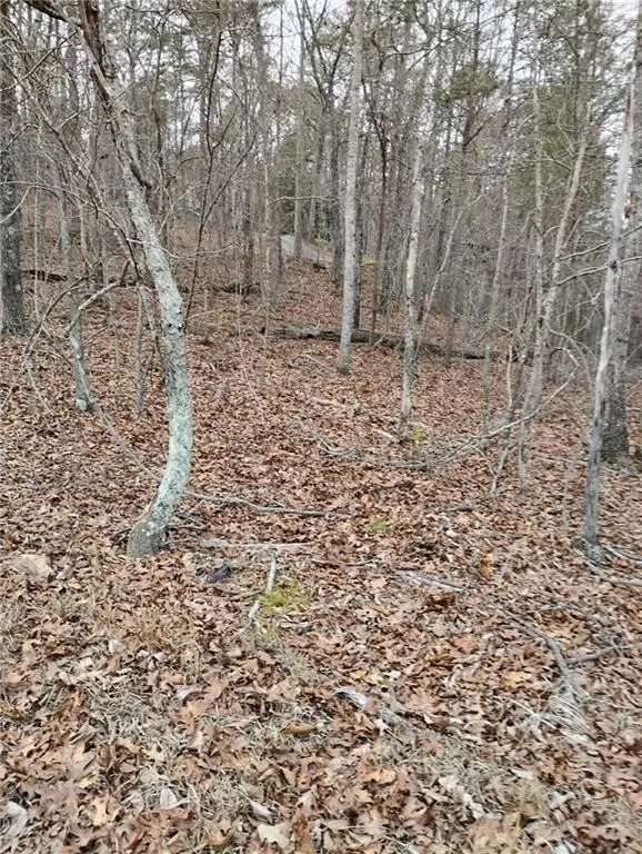 0 Willie West Road, Canton, GA 30114