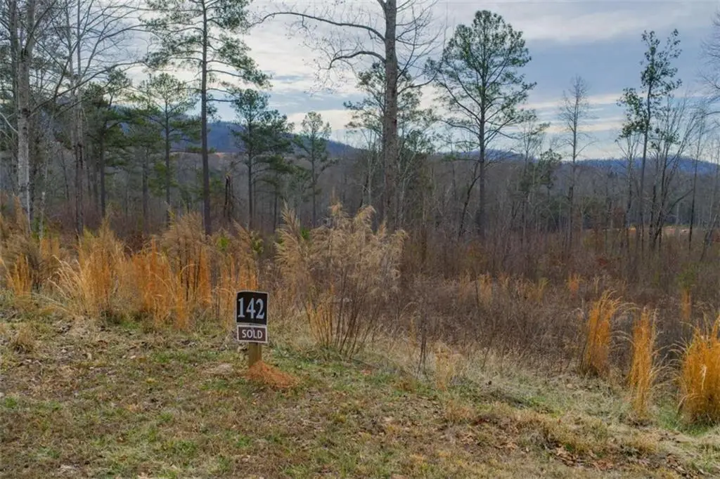 LT 142 Twisted Oak Road, Talking Rock, GA 30175 - #1