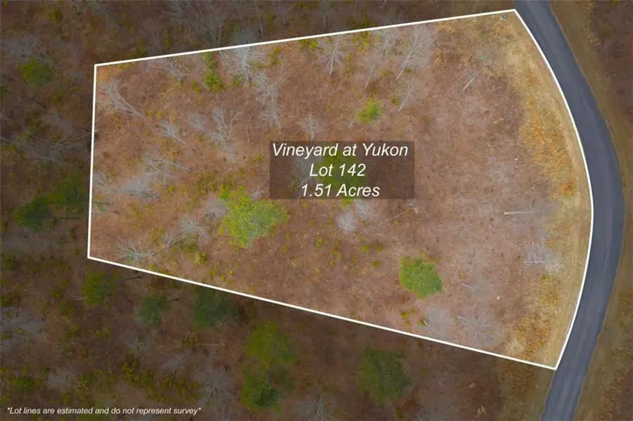 LT 142 Twisted Oak Road, Talking Rock, GA 30175 - #2