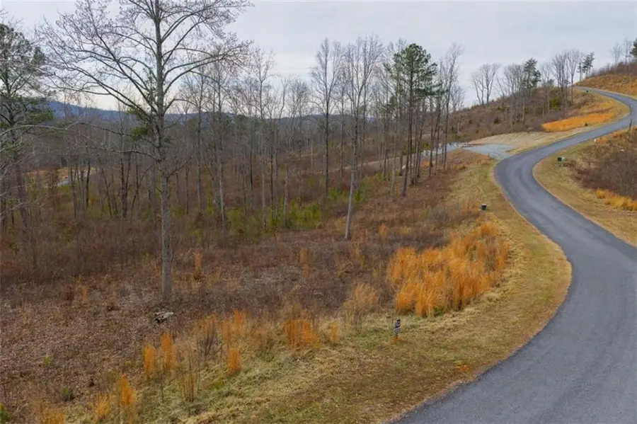 LT 142 Twisted Oak Road, Talking Rock, GA 30175 - #3