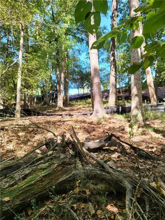 1140 Deborah Lane, Suwanee, GA 30024 - Image #3