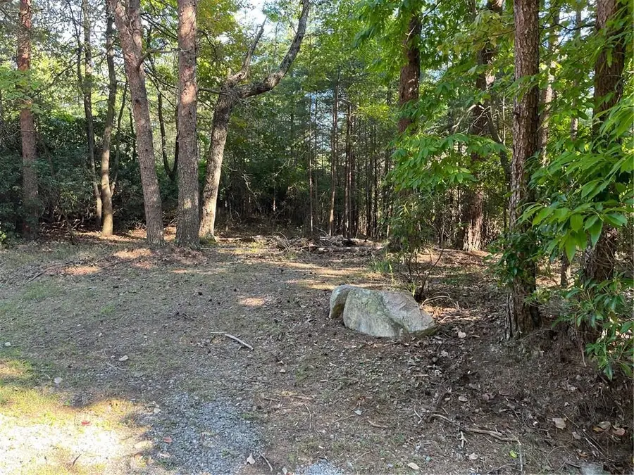 152 Silver Fox Loop, Waleska, GA 30183 - #3