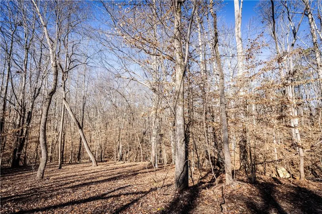 391 Marvin Land Lane, Canton, GA 30115 - Image #1