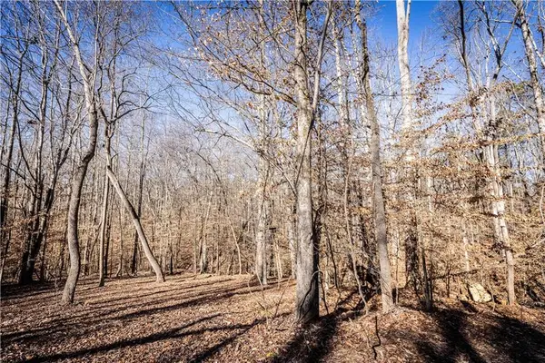 391 Marvin Land Lane, Canton, GA 30115