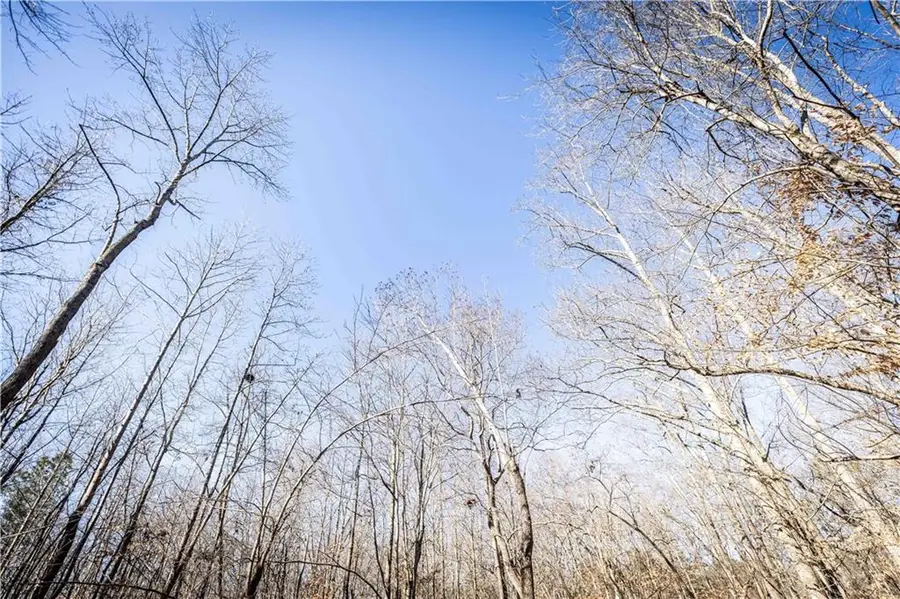 391 Marvin Land Lane, Canton, GA 30115 - Image #3