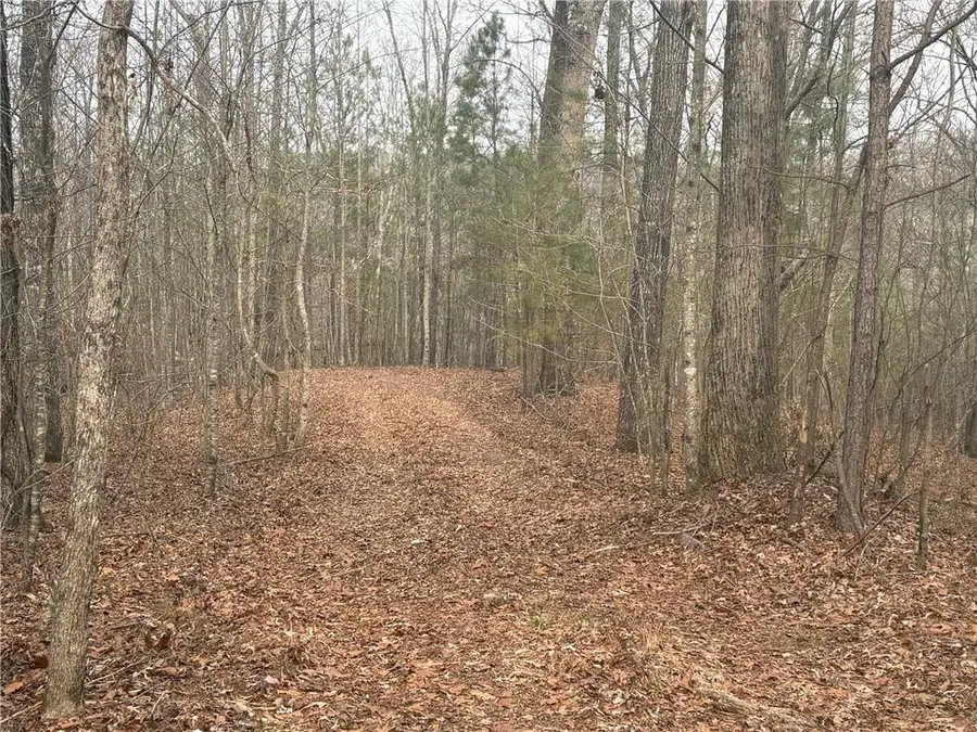 01 Swan Bridge Road, Talking Rock, GA 30175 - #2