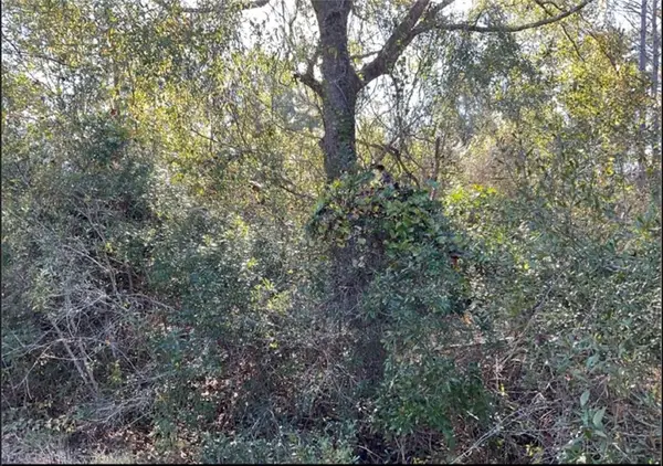 0 Quiesqueya Cir, Waycross, GA 31503