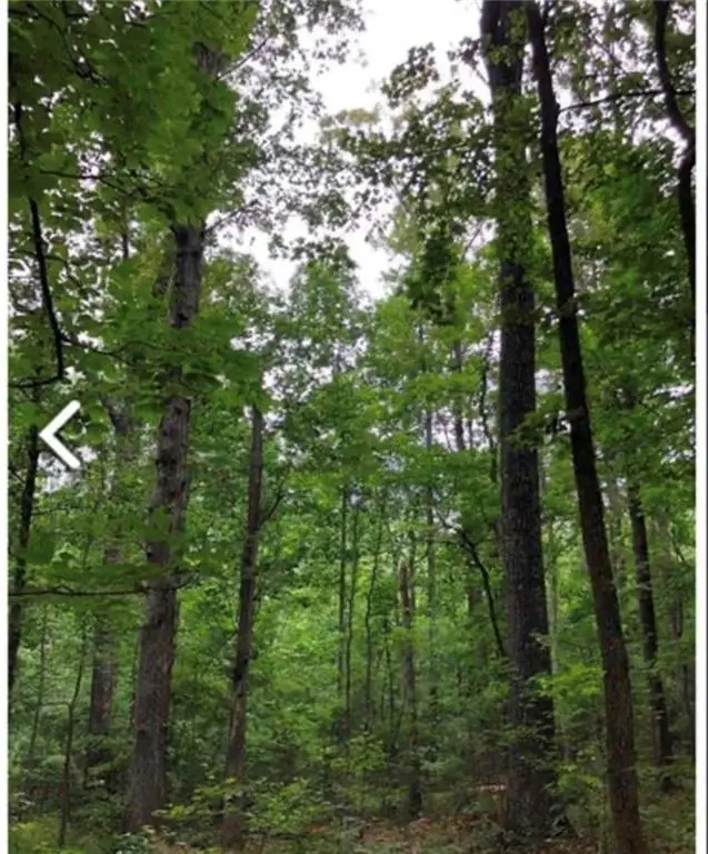 0 Hall Road, South Fulton, GA 30213 - Image #2