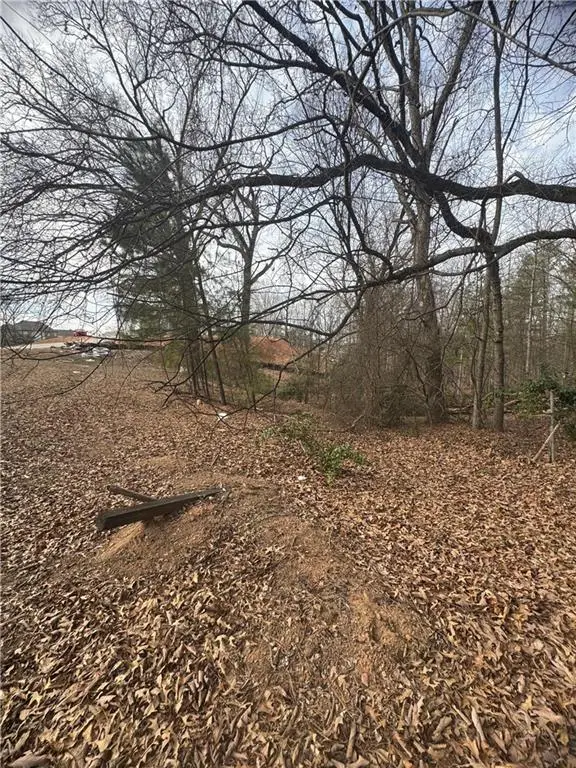 10185 Buice Road, Alpharetta, GA 30022 - #3