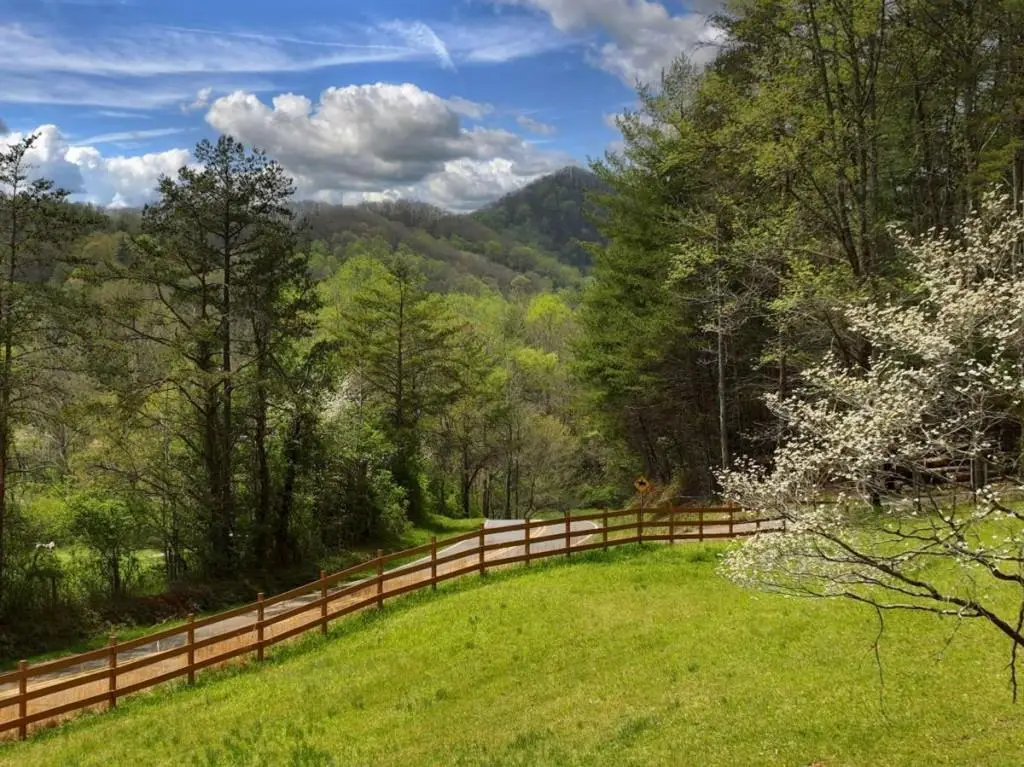 0 Hells Hollow Road, Blue Ridge, GA 30513 - Image #1